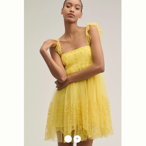 Anthropologie Let Me Be Eyelet Tulle Mini Dress - Picture 1 of 4